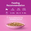  Whiskas Kitten Wet Cat Food 