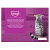 پک پوچ گربه ویسکاس گوشت پرندگان در سس گریوی (12 عددی) Whiskas Poultry Feasts in Gravy 