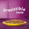 پک پوچ گربه ویسکاس گوشت پرندگان در سس گریوی (12 عددی) Whiskas Poultry Feasts in Gravy 