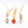 اسباب بازی توپ شیطونک پردار گربه Feathered Mischievous Ball Cat Toy