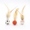 اسباب بازی توپ شیطونک پردار گربه Feathered Mischievous Ball Cat Toy