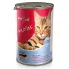 کنسرو گربه بوی کت گوشت ماهی پت خرید bewi cat
