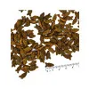 غذای گربه بالغ سالمون مونژه 10ک :: Monge N1 Adult Salmon 10kg