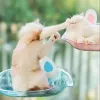 جای خواب شیشه ای رنگی پشت پنجره گربه مدل فانتزیCat Window Bed Fantasy Model
