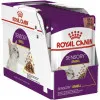 Royal Canin Sensory Smell 12pcs
