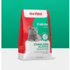 علف گربه کت نیپ بونست برای نشاط گربه Bonnest Catnip Catnip Excite 20g