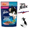 پوچ گربه فلیکس سالمون و ماهی قزل آلا Purina Felix Ghiottonerie With Salmon and Trout
