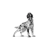 غذای خشک سگ های فایبر رویال کنین Royal Canin GastroIntestinal High fibre 