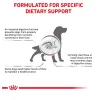 غذای خشک سگ های فایبر رویال کنین Royal Canin GastroIntestinal High fibre 
