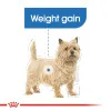 پوچ رویال کنین مخصوص کنترل وزن سگ Royal Canin Light weight care pouch