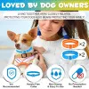 قلاده کک و کنه سگ اویمال Oimmal Flea & Tick Collar