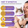 قلاده آرامش بخش گربه اویمال :: Oimmal Calming Collar for Cats
