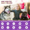 قلاده آرامش بخش سگ اویمال :: Oimmal Calming Collar for Dogs