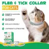 قلاده کک و کنه گربه اویمال :: Oimmal Flea & Tick Collar For Cats