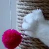 اسکرچر ناخن گربه با توپ بازی - عملکرد