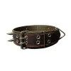 قلاده گردنی چرم سگ طرح گاتیک Leather Pet Collar Gothic