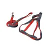 قلاده کتفی همراه با بند سگ کوچک و گربه طرح لی Collar & Leash For Lil Dog & Cat 
