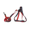 قلاده کتفی همراه با بند سگ کوچک و گربه طرح لی Collar & Leash For Lil Dog & Cat 