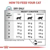 غذای رویال کنین برای کنترل و درمان آلرژی گربه : Rotal Canin Sensitivity Control