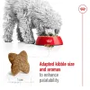 رویال کنین مینی ادالت :: Royal Canin Mini Adult