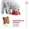 رویال کنین مینی ادالت :: Royal Canin Mini Adult
