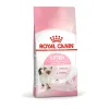 رویال کنین کیتن :: Royal Canin Kitten