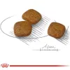 غذا خشک سگ مینی رویال کنین یورینری کر  ROYAL CANIN Mini Urinary Care, 
