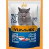 پوچ گربه بالغ یامیکس مرغ و گوشت Yummix Adult Pouch Chicken & Beef