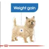 پوچ رویال کنین مخصوص کنترل وزن سگ Royal Canin Light weight care pouch
