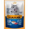 وچ گربه بالغ یامیکس گوشتYummix Adult Pouch  Beef