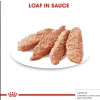 پوچ رویال کنین مخصوص کنترل وزن سگ Royal Canin Light weight care pouch