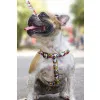 هارنس اسنوپی مدل استرایپ :Harness Snoopy Joe Cool