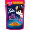 پوچ بچه گربه فلیکس مرغ Felix Junior Chicken