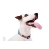 قلاده گردنی اسنوپی زیگ زاگ : Zooz Collar Snoopy ZigZag 