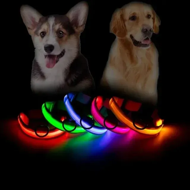 قلاده گردنی سگ با چراغ ال ای دی Dog Collar With LED light Size L
