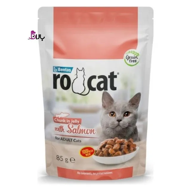 پوچ گربه روکت گوشت ماهی سالمون در ژله 85 گرمی
