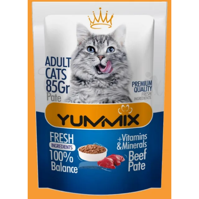 وچ گربه بالغ یامیکس گوشتYummix Adult Pouch Beef