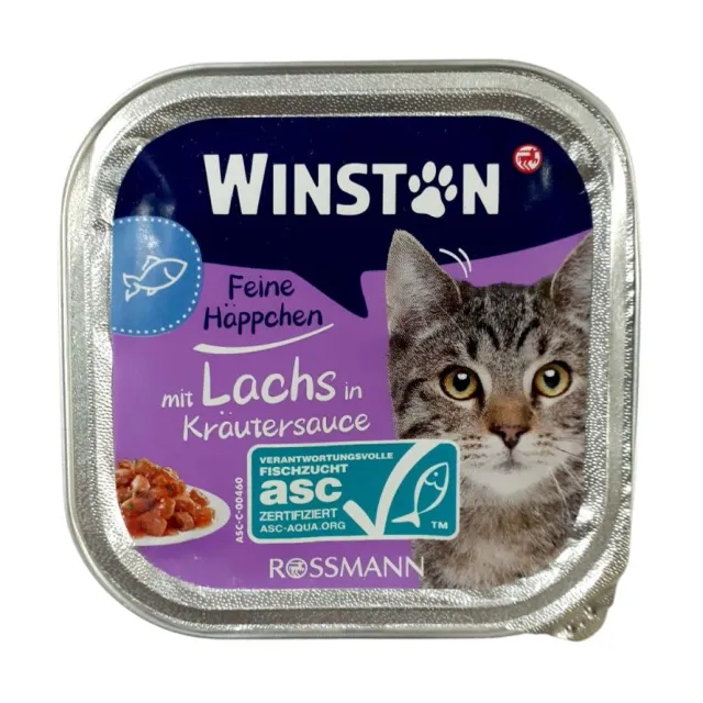 ووم گربه وینستون ماهی سالمون در سس گیاهی :: Winston Mit Lachs