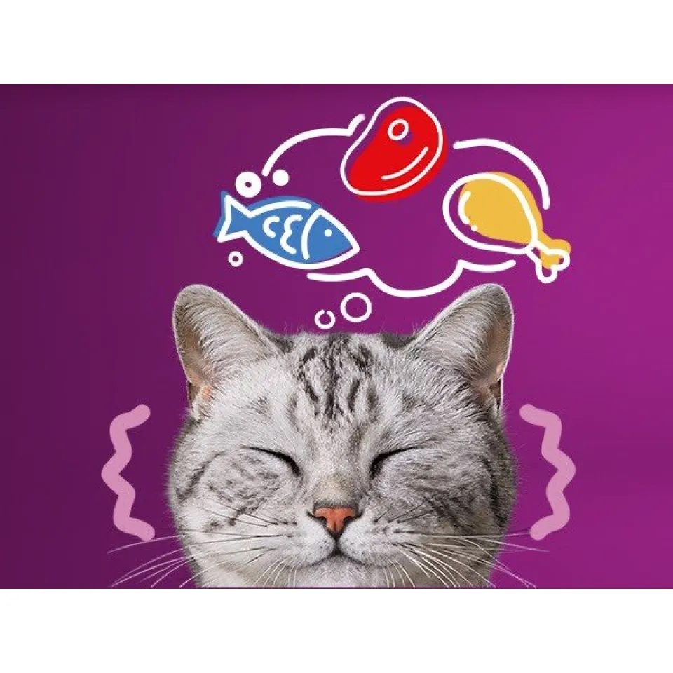 پوچ گربه ویسکاس پیشنهاد سرآشپز در سس گوشت Whiskas 1+ Tasty Mix Chefs Choice In Gravy،