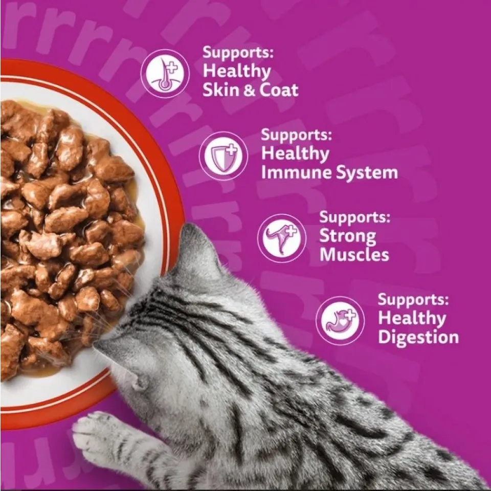  پوچ گربه ویسکاس انواع گوشت در ژله Whiskas Meaty Meals in Jelly 