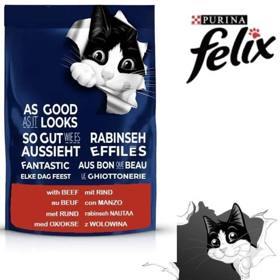 پوچ گربه گوشت فلیکس Purina Felix Cat Pouch Beef in Jelly