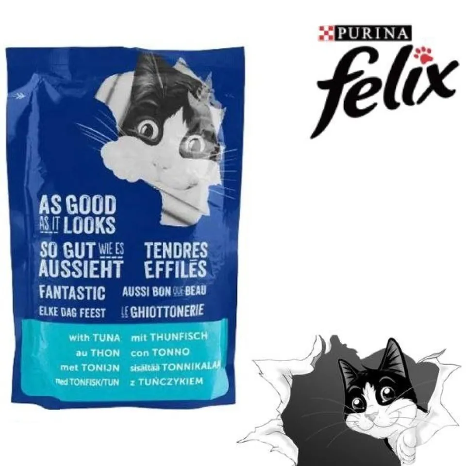 پوچ گربه فلیکس حاوی خرگوش Felix Tenderes fillet Rabbit