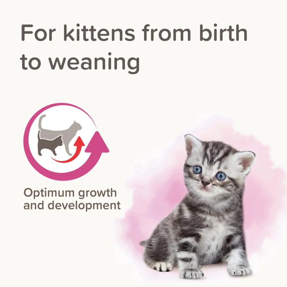 شیر خشک بچه گربه بیفار لاکتول