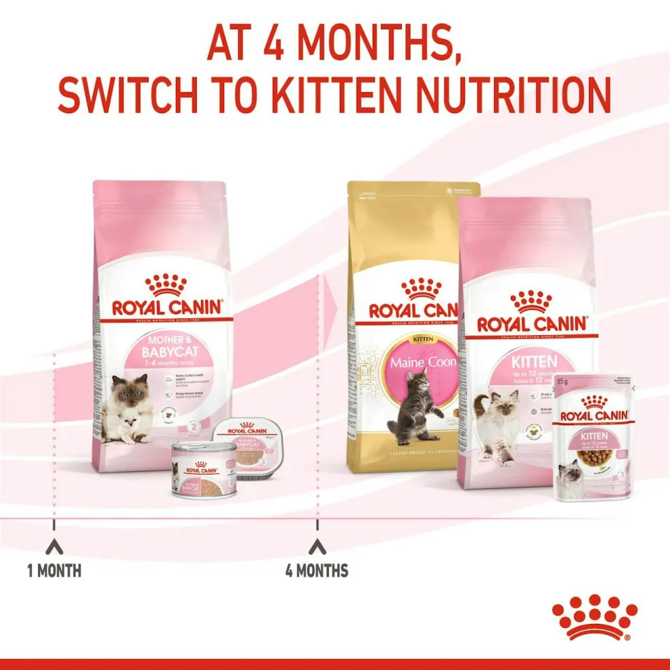 رویال کنین مخصوص مادر و بچه گربه :: Royal Canin Mother & Babycat 