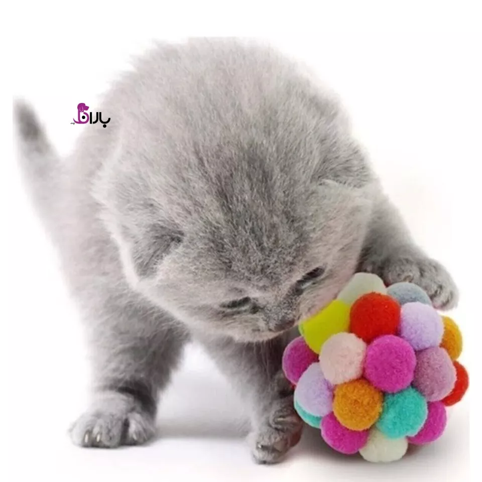توپ بازی گربه پم پم رنگارنگ