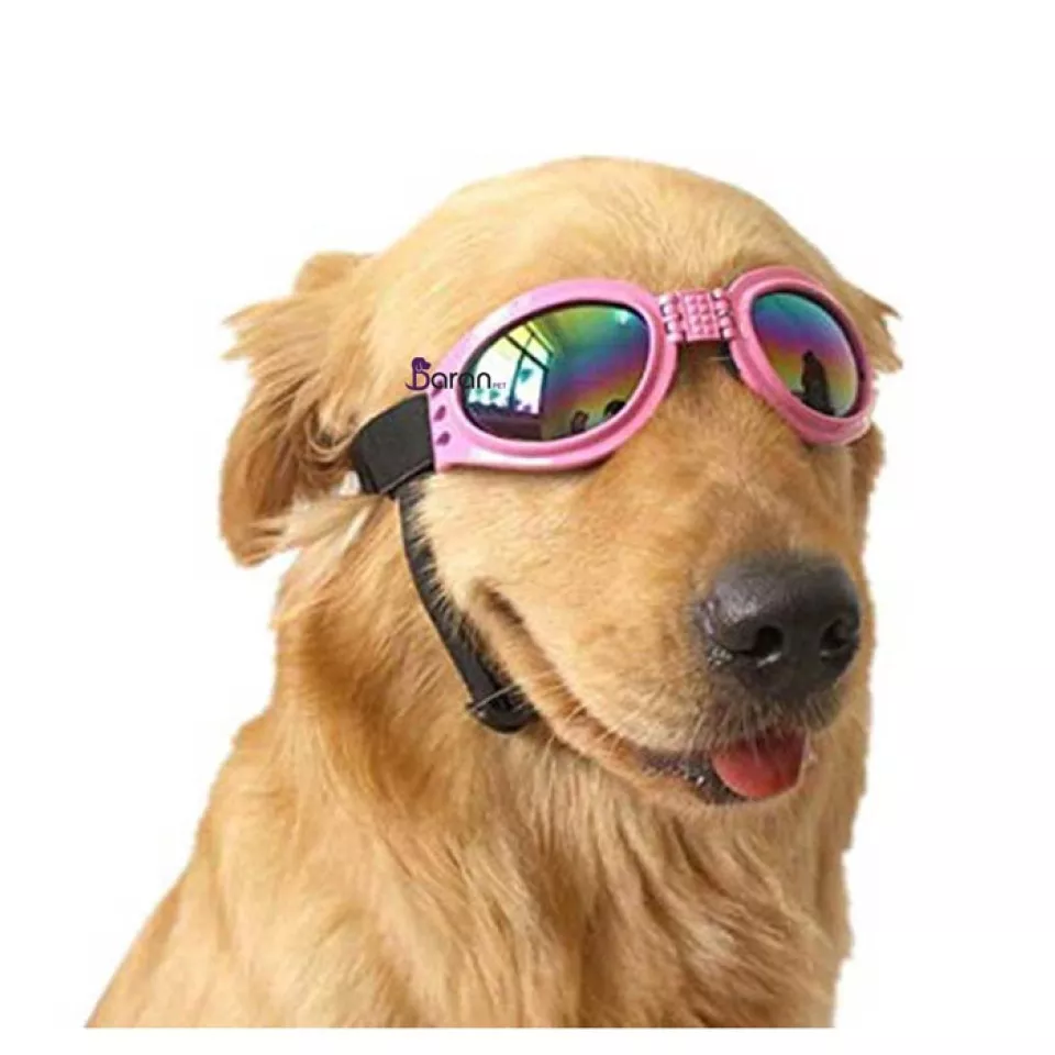 عینک دودی مخصوص سگ