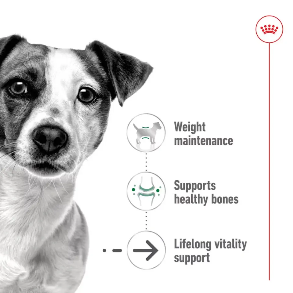 پوچ سگ نژاد کوچک بالای 8 سال رویال کنین : Royal Canin Mini Ageing