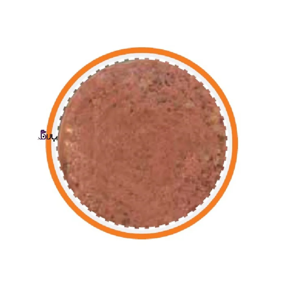 کنسرو گربه شایر حاوی گوشت مرغ (400 گرم)