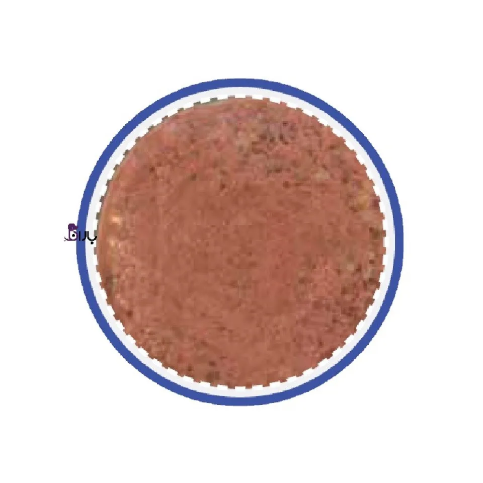 کنسرو سگ شایر حاوی سیرابی (400 گرم)
