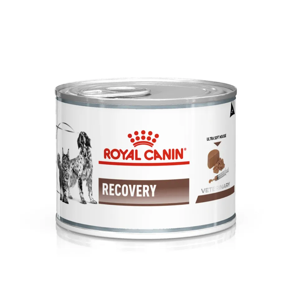 کنسرو ریکاوری رویال کنین :: Royal Canin Recovery 
